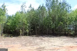 1224 Snow Hill Rd, Cadwell, GA 31009 - Photo 9