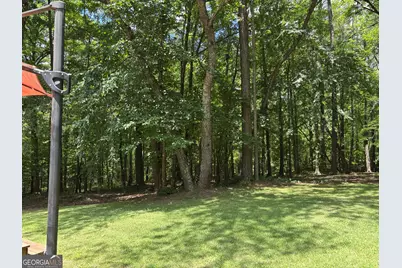 40 Frances Turn, Sharpsburg, GA 30277 - Photo 33