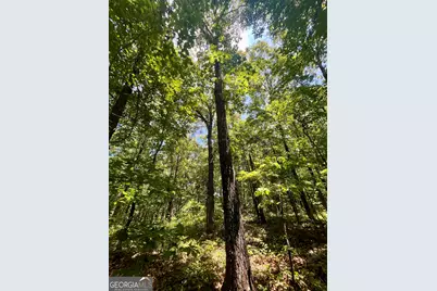451 Two Rock Road, Waco, GA 30182 - Photo 13