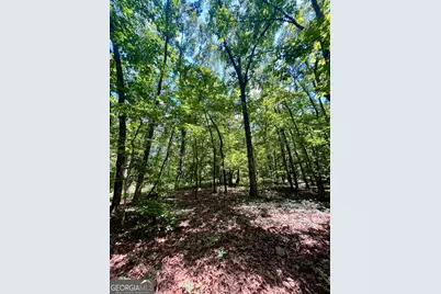 451 Two Rock Road, Waco, GA 30182 - Photo 31