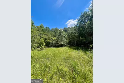 451 Two Rock Road, Waco, GA 30182 - Photo 37