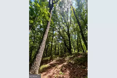 451 Two Rock Road, Waco, GA 30182 - Photo 15