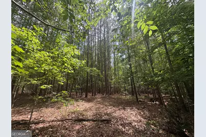 4 Callaway Road, Tignall, GA 30668 - Photo 21