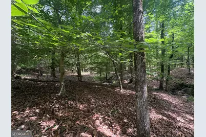 4 Callaway Road, Tignall, GA 30668 - Photo 23