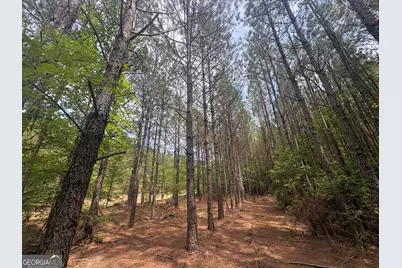 4 Callaway Road, Tignall, GA 30668 - Photo 29