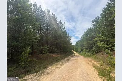 4 Callaway Road, Tignall, GA 30668 - Photo 3