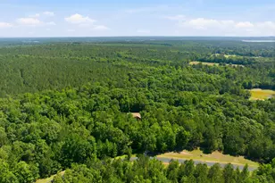 1089 N North Pointe Dr, Tignall, GA 30668 - Photo 45