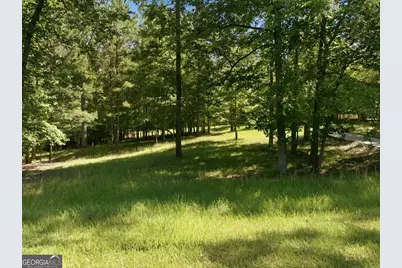 1089 N North Pointe Drive, Tignall, GA 30668 - Photo 39