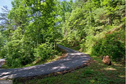 10475 Warwoman Road, Clayton, GA 30525 - Photo 43