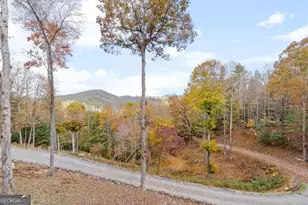 247 Toccoa Overlook Drive, Blue Ridge, GA 30513 - Photo 45