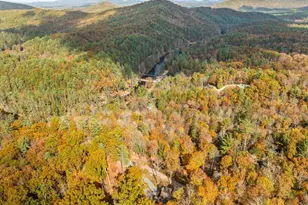 247 Toccoa Overlook Drive, Blue Ridge, GA 30513 - Photo 49