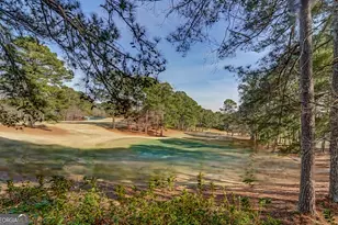 41 Goldeneye Ct, Monticello, GA 31064 - Photo 13