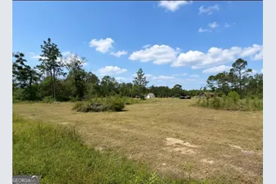 1087 Green Morgan School Rd, Clyo, GA 31303 - Photo 13