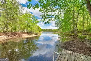 215 Oakwood Lakes Dr, Hampton, GA 30228 - Photo 61