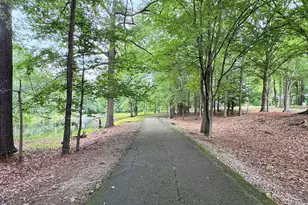 100 Grouse Point, Fayetteville, GA 30215 - Photo 67