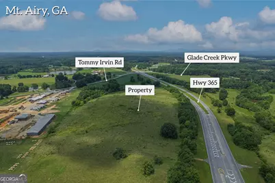 20 Acres Sthighway 365, Mount Airy, GA 30563 - Photo 5