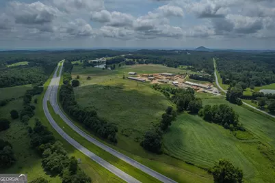 20 Acres Sthighway 365, Mount Airy, GA 30563 - Photo 11