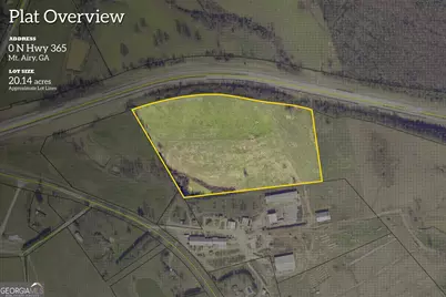 20 Acres Sthighway 365, Mount Airy, GA 30563 - Photo 1