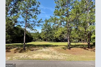 170 Lovely Grove Church Road, Eastman, GA 31023 - Photo 43