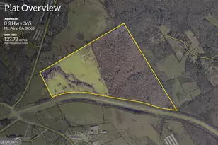 127 Acres Hwy 3 Sthighway 365, Mount Airy, GA 30563 - Photo 1