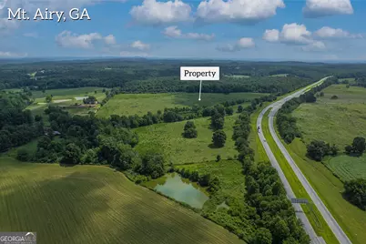127 Acres Hwy 3 Sthighway 365, Mount Airy, GA 30563 - Photo 5