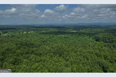 127 Acres Hwy 3 Sthighway 365, Mount Airy, GA 30563 - Photo 15
