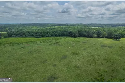 127 Acres Hwy 3 Sthighway 365, Mount Airy, GA 30563 - Photo 21