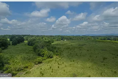 127 Acres Hwy 3 Sthighway 365, Mount Airy, GA 30563 - Photo 17