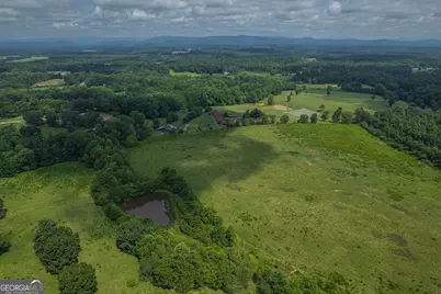 127 Acres Hwy 3 Sthighway 365, Mount Airy, GA 30563 - Photo 11