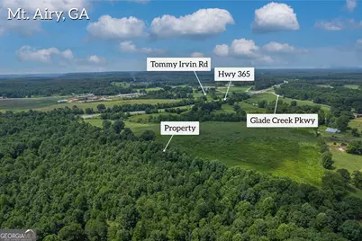 127 Acres Hwy 3 Sthighway 365, Mount Airy, GA 30563 - Photo 7