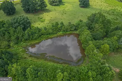 127 Acres Hwy 3 Sthighway 365, Mount Airy, GA 30563 - Photo 19