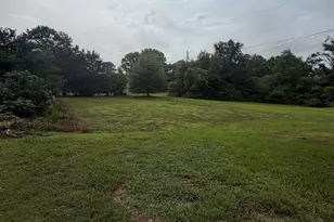 598 Corinth Rd, Hogansville, GA 30230 - Photo 9