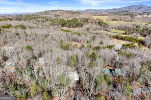 425 Enchanted Woods Dr, Blairsville, GA 30512 - Photo 51