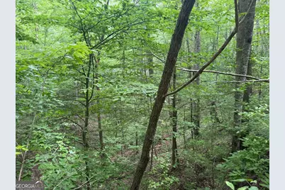 1 Ac Spiva Cove Circle, Blairsville, GA 30512 - Photo 1