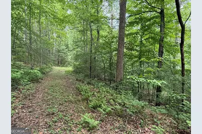 1 Ac Spiva Cove Circle, Blairsville, GA 30512 - Photo 3