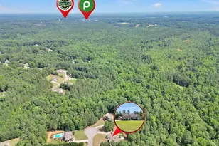 205 Arborview Dr, McDonough, GA 30252 - Photo 45