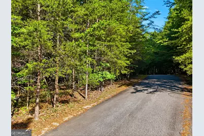 0 Autumn Ridge Drive, Mineral Bluff, GA 30559 - Photo 7