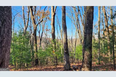 0 Lot 18 Meadowlands Drive, Talking Rock, GA 30175 - Photo 3