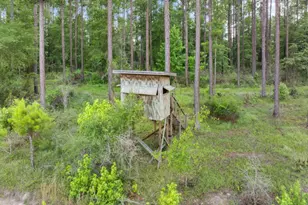 13320 Sunbury Rd, Claxton, GA 30417 - Photo 9