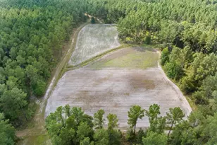 13320 Sunbury Rd, Claxton, GA 30417 - Photo 7