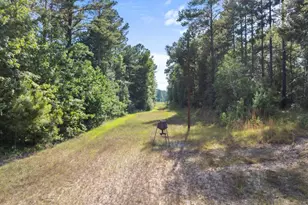 13320 Sunbury Rd, Claxton, GA 30417 - Photo 13