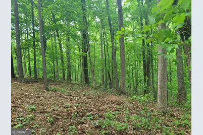 0 Fincherville Rd TRACT #3, Jackson, GA 30233 - Photo 3
