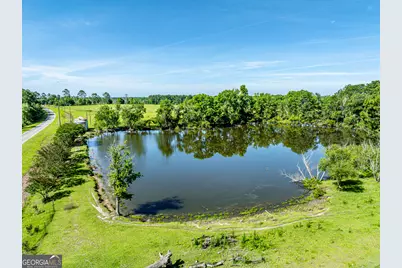3349 Scotland Road, Alamo, GA 30411 - Photo 49