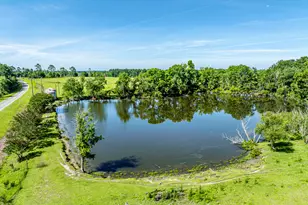3349 Scotland Rd, Alamo, GA 30411 - Photo 49