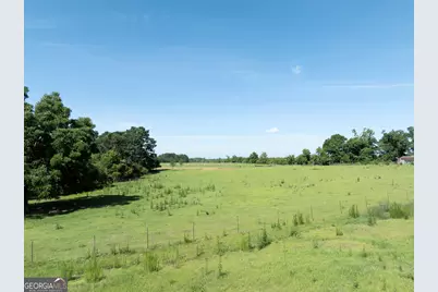 3349 Scotland Road, Alamo, GA 30411 - Photo 63