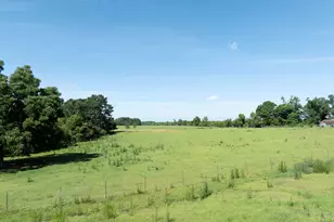 3349 Scotland Rd, Alamo, GA 30411 - Photo 63