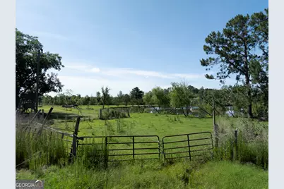 3349 Scotland Road, Alamo, GA 30411 - Photo 65