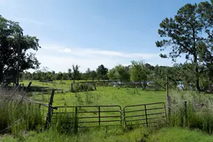 3349 Scotland Rd, Alamo, GA 30411 - Photo 65