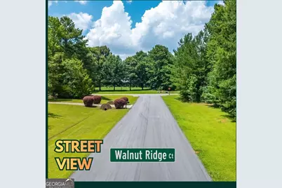 15 Walnut Ridge Court, Covington, GA 30014 - Photo 1