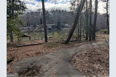 0 Collins Road, Jackson, GA 30233 - Photo 5